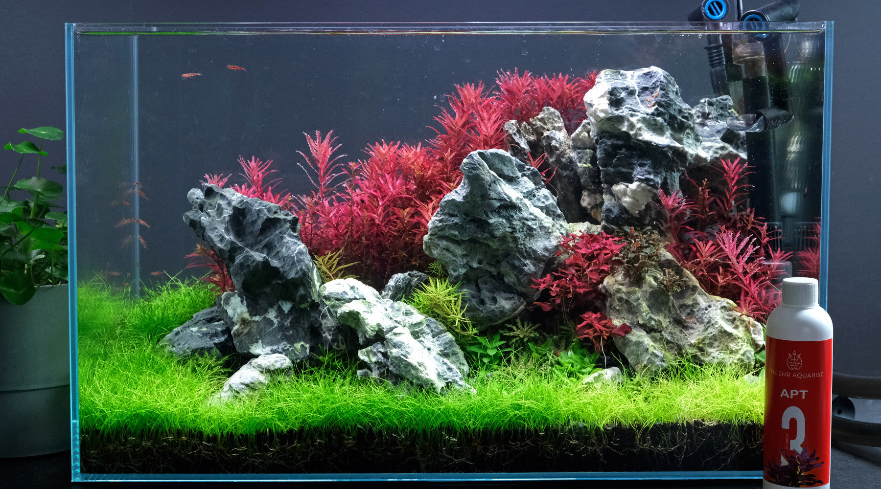 What is a good level of GH in a planted aquarium?