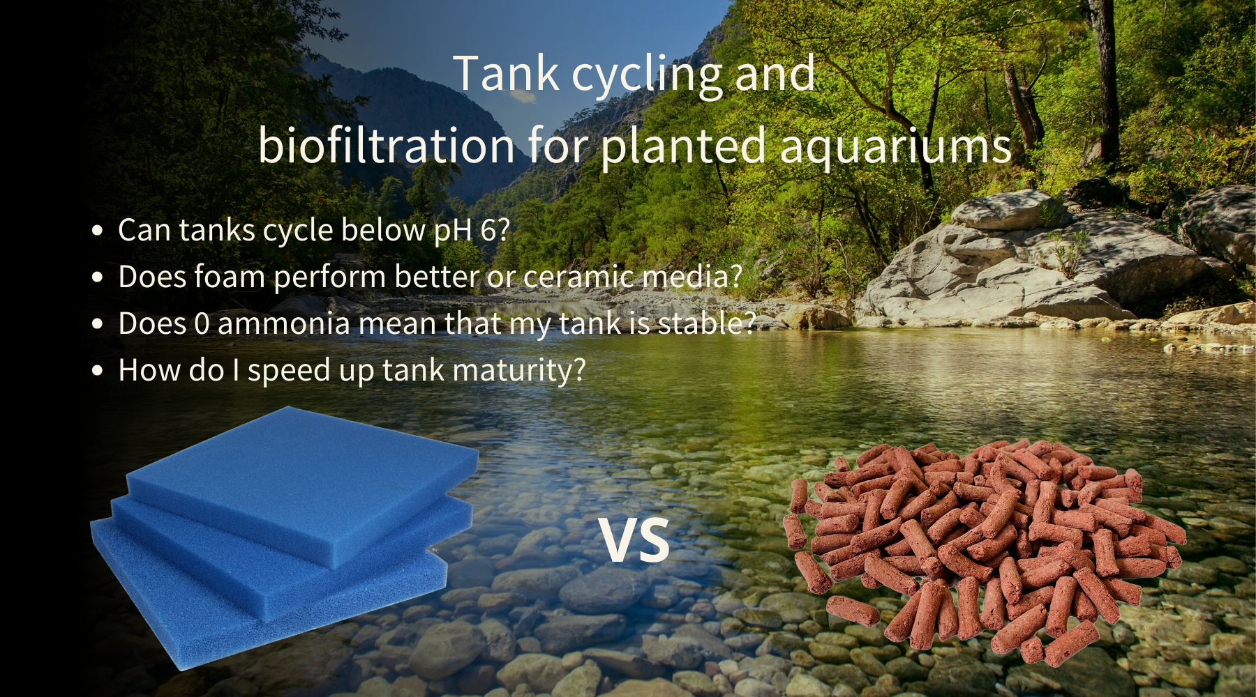 Tank cycling and biological maturity in planted aquariums