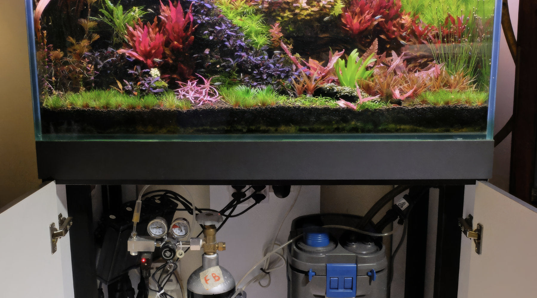Which Type of Aquarium Filter Should You Choose? Canister vs HOB vs Internal vs Undergravel