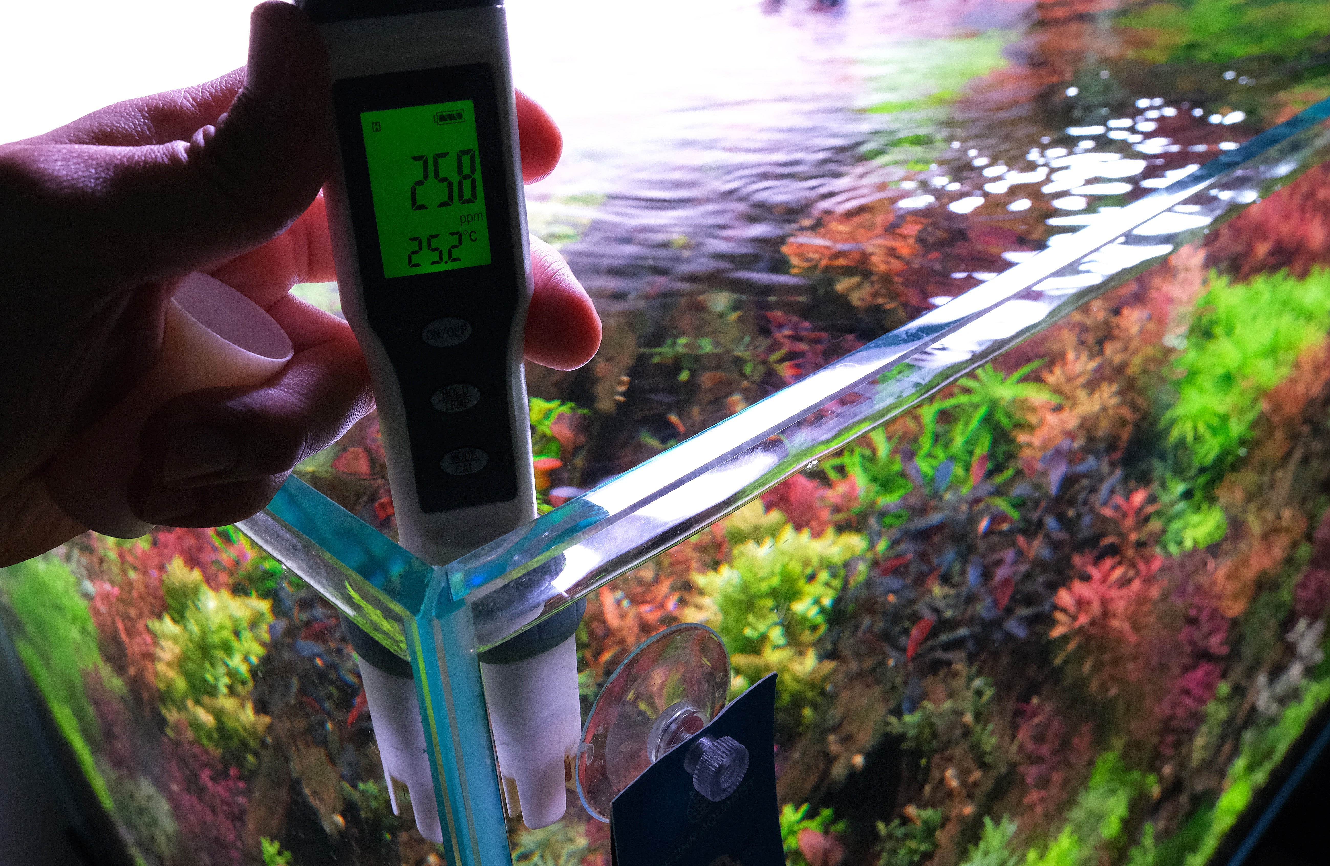 Close up photo of TDS reading in a planted aquarium