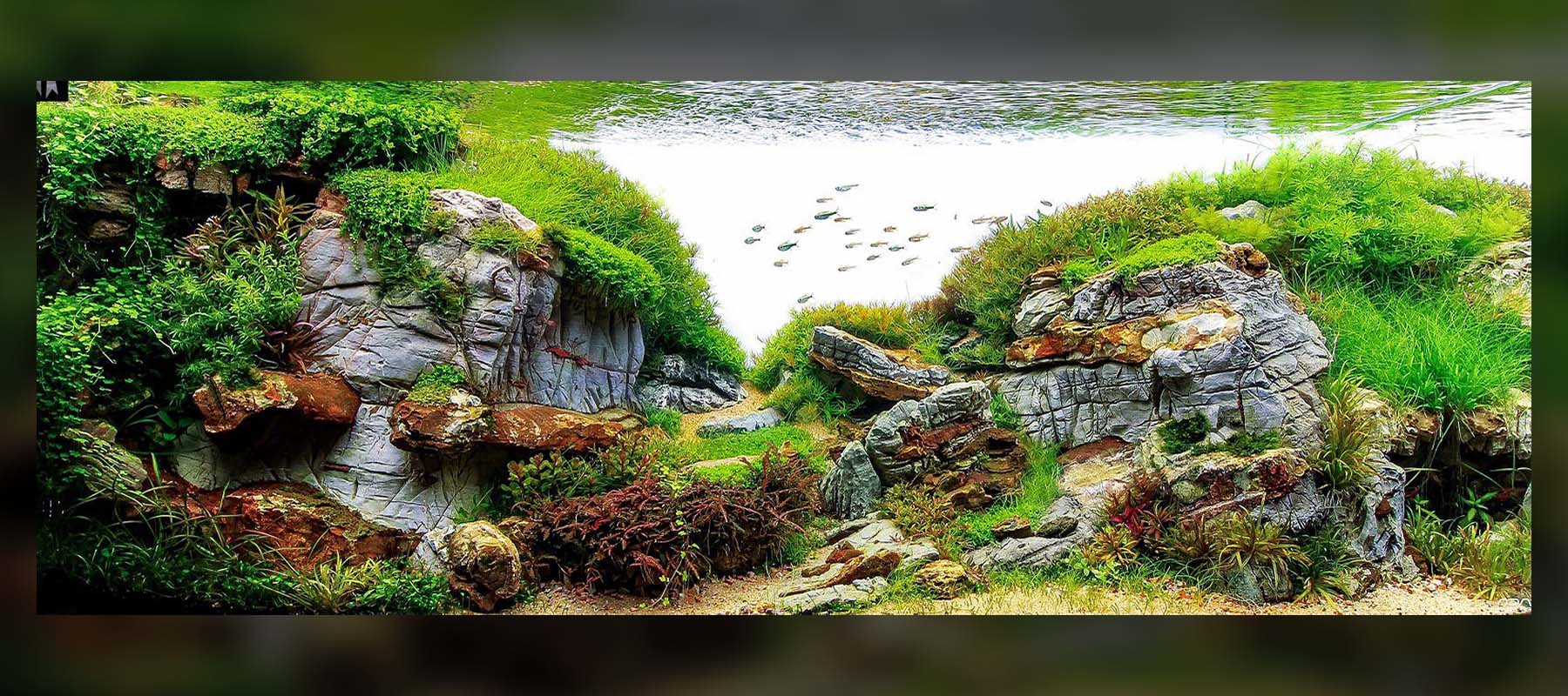 Fernando Ferreira 3 | Nature Style / Diorama
