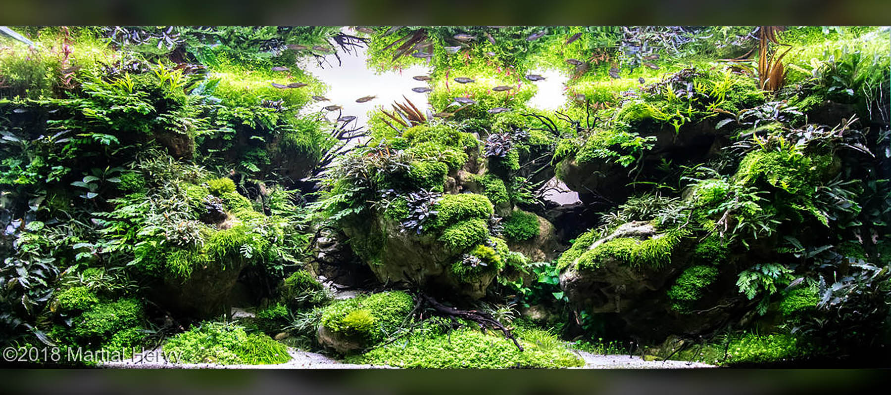 Martial Hervy 1 | Nature Style / Diorama