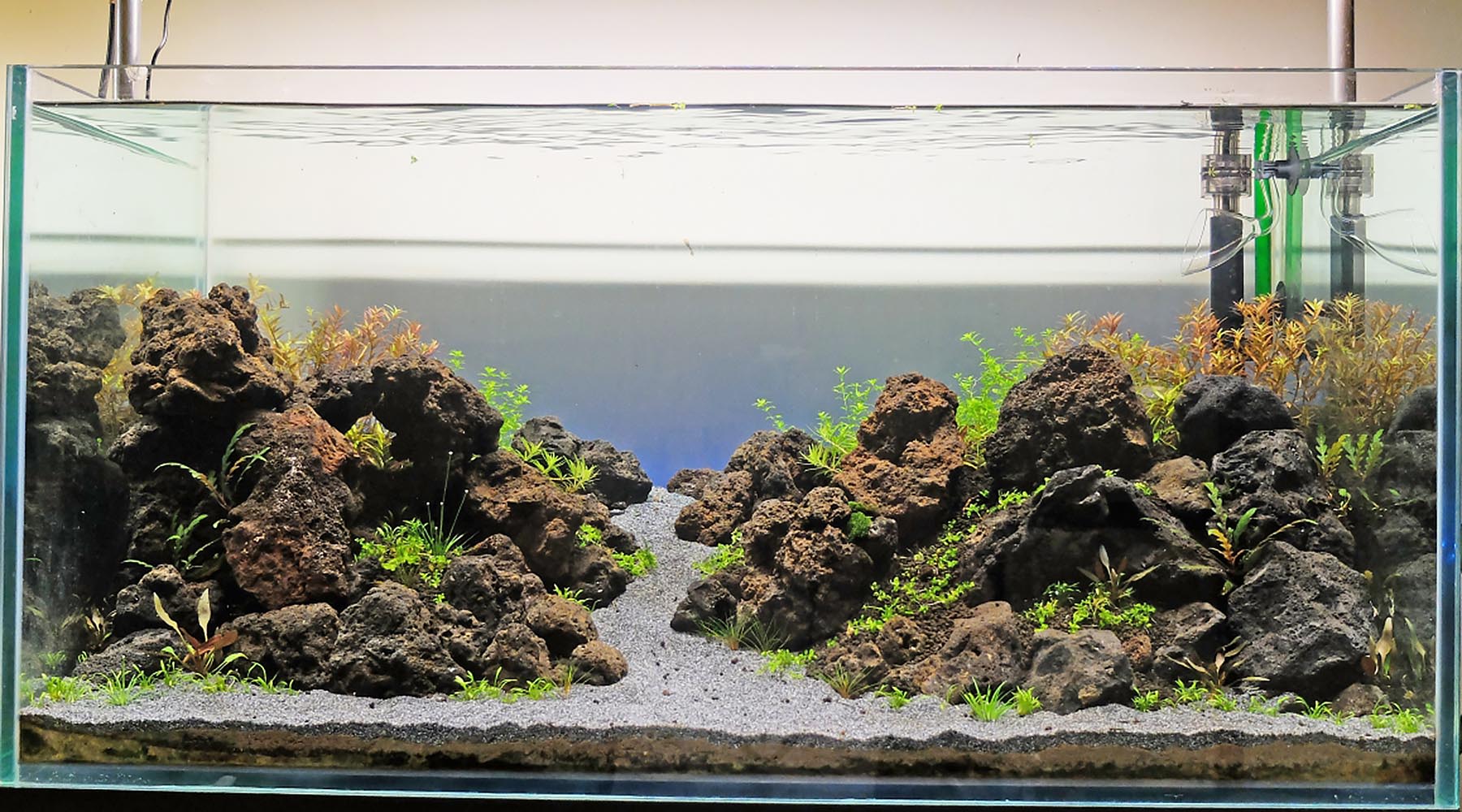 Should I bother cycling a planted tank before planting?