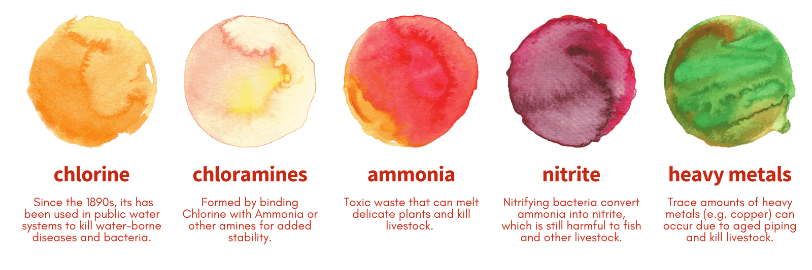 The 2Hr Aquarist APT PURE Water Conditioner The 2Hr Aquarist APT PURE Water Conditioner