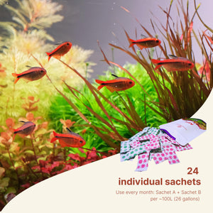 2Hr Aquarist APT Balance