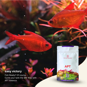 2Hr Aquarist APT Balance