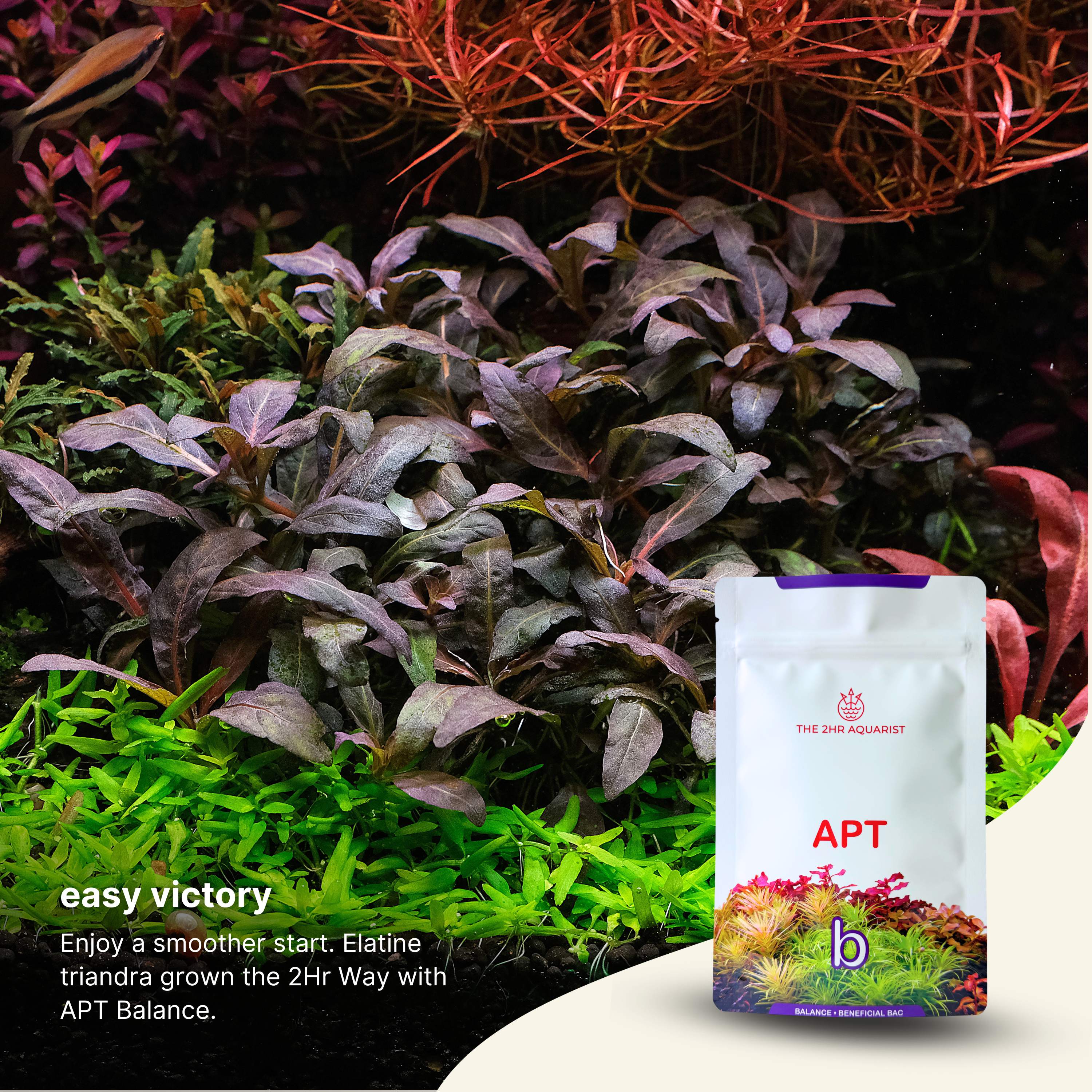 2Hr Aquarist APT Balance