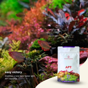 2Hr Aquarist APT Balance