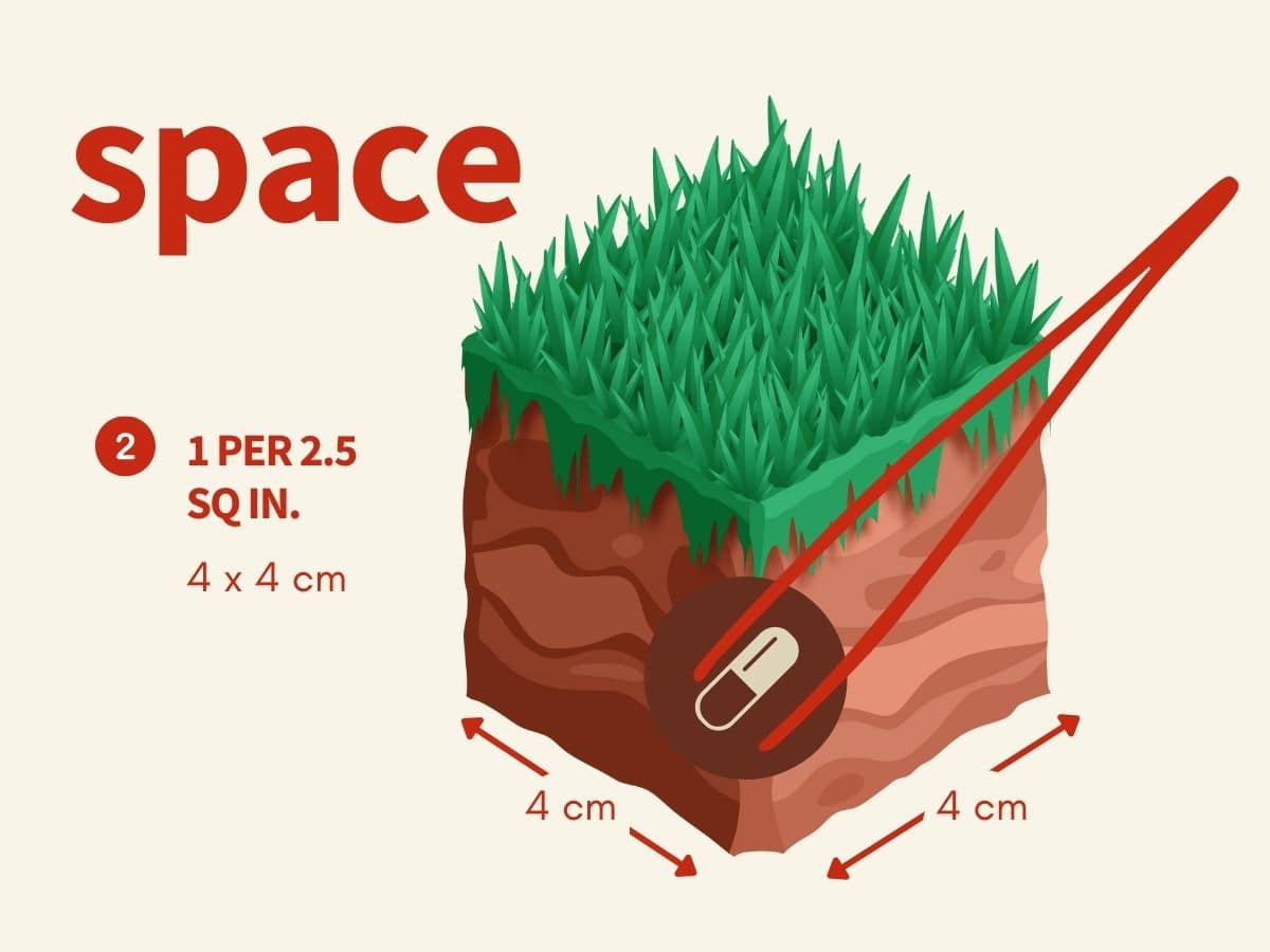The 2Hr Aquarist APT JAZZ Plant Root Fertiliser The 2Hr Aquarist APT JAZZ Plant Root Fertiliser