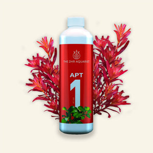 APT Zero
