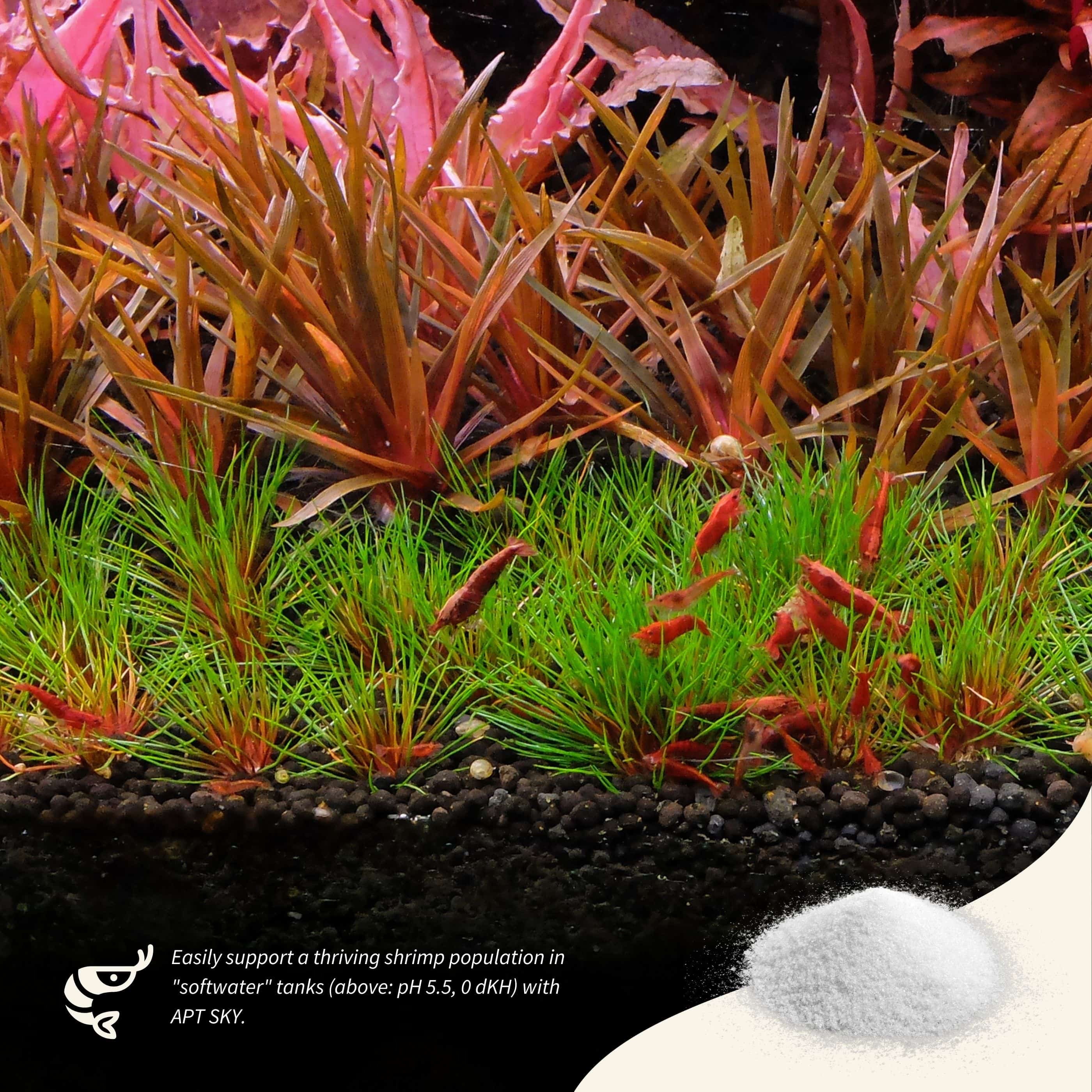 2HR Aquarist APT Sky enables shrimps and hardwater plants to thrive with softwater plants