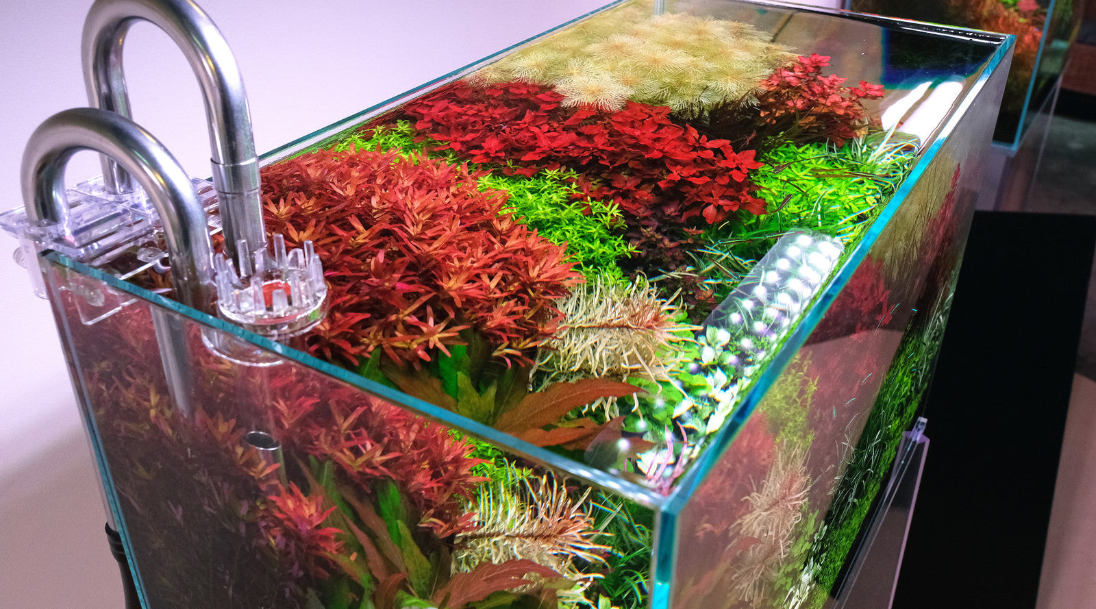 Surface agitation & gaseous exchange in CO2 injected tanks