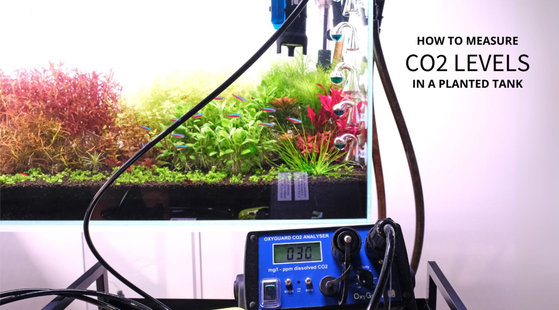 Snapshot of Measuring Co2 Levels In Planted Aquarium