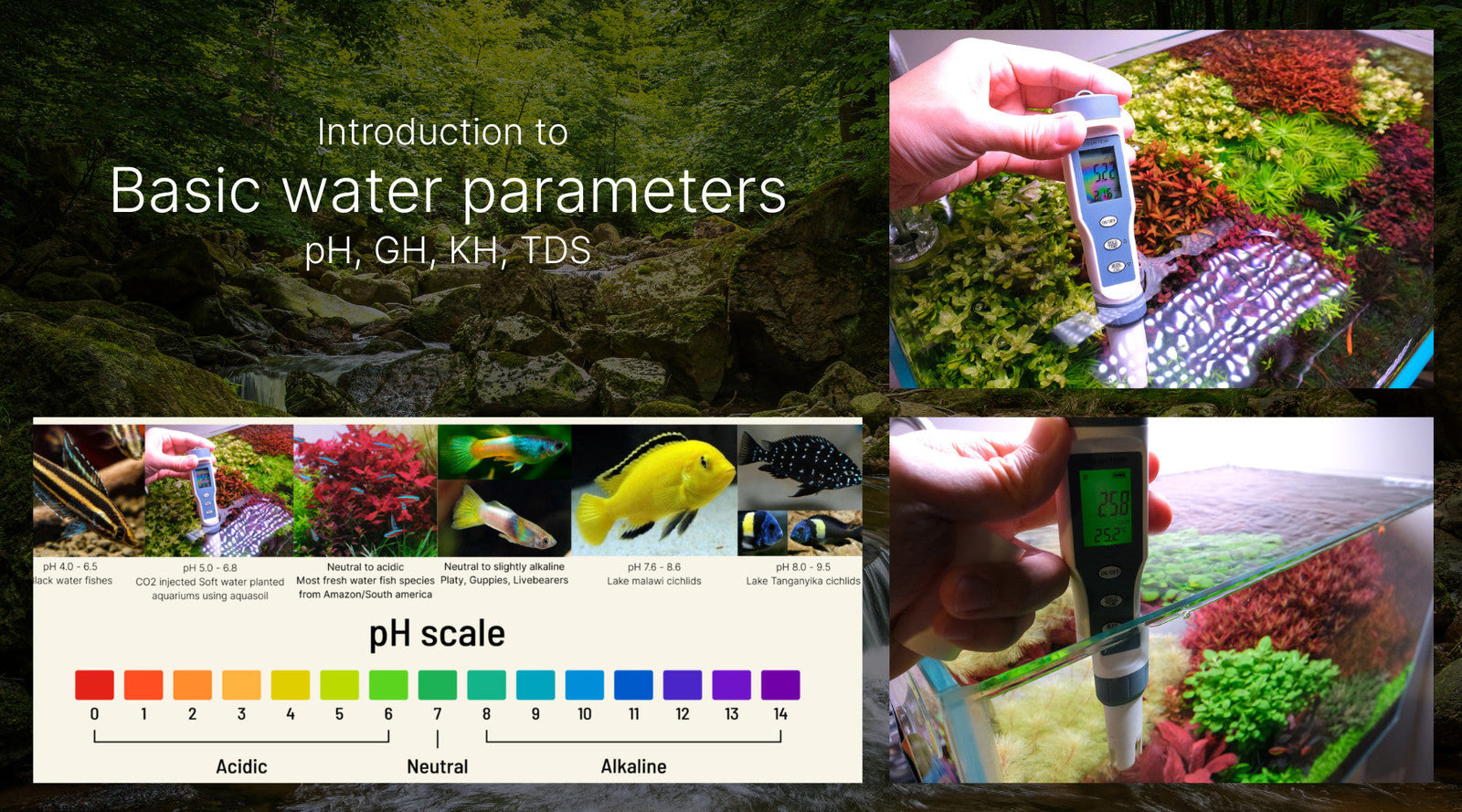pH, KH, GH, TDS - Introduction to basic water parameters