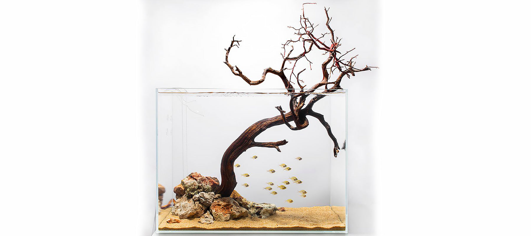 ADG | Hardscape Focused