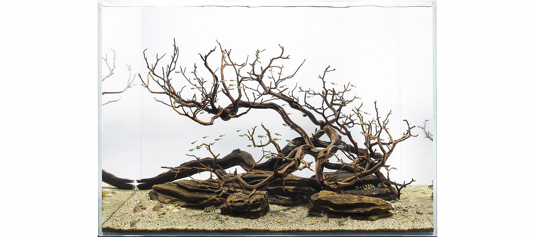 ADG | Hardscape Focused
