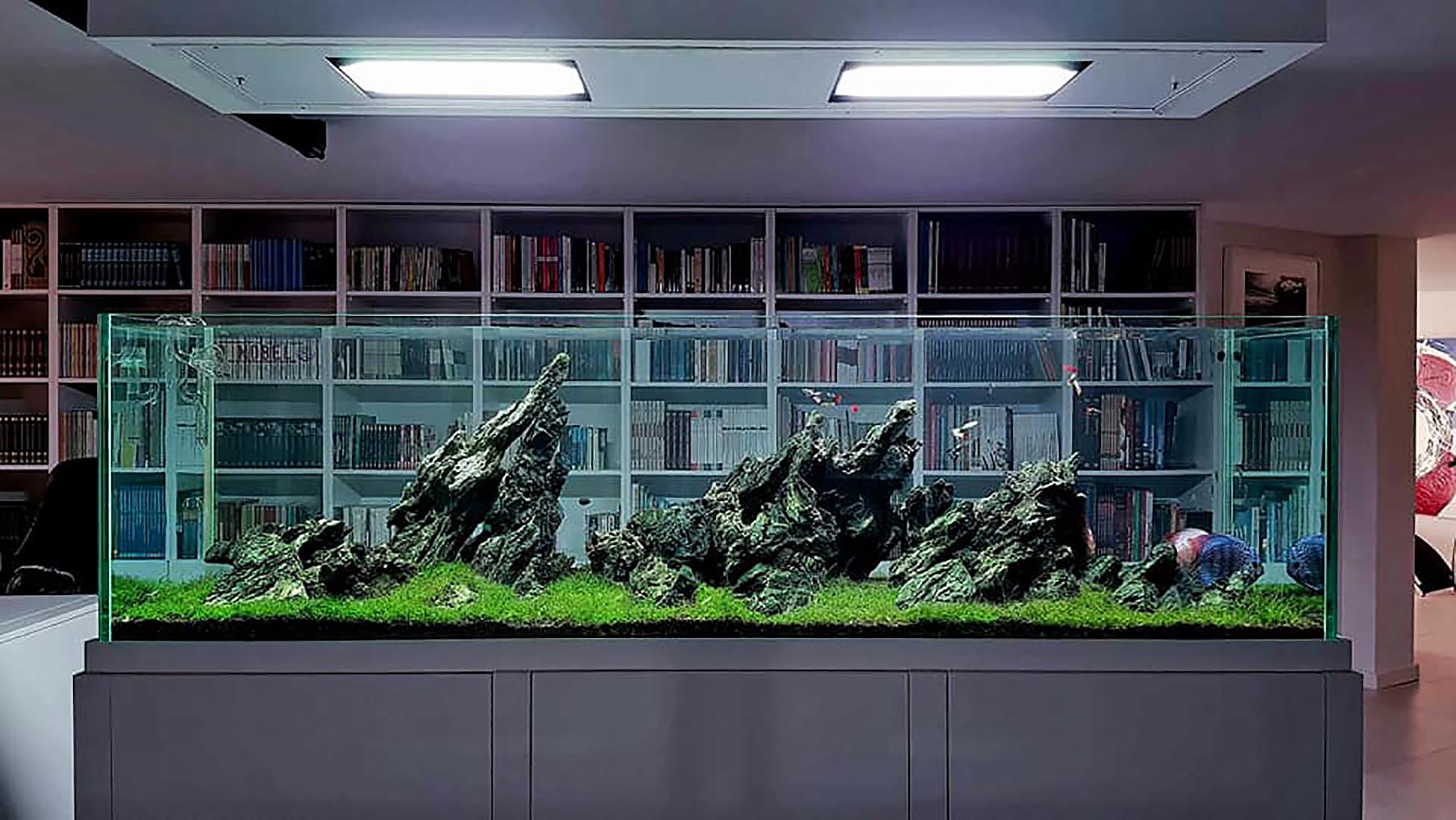 Is a larger plant tank always better because it is more stable?