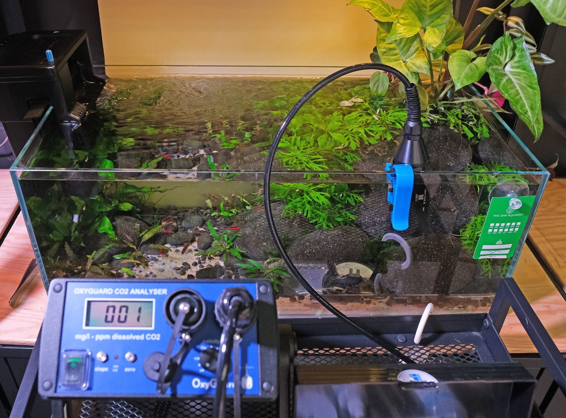 Best CO2 Diffusers | Diffusion Methods for Planted Tanks