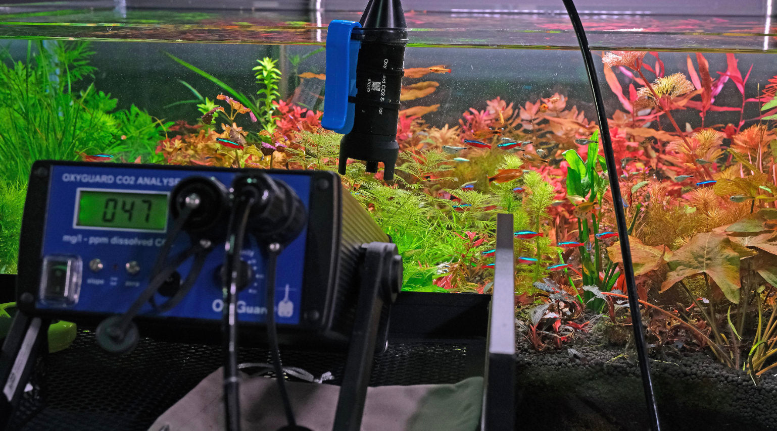 Do I Need CO2 to Grow Plants? An Honest Answer