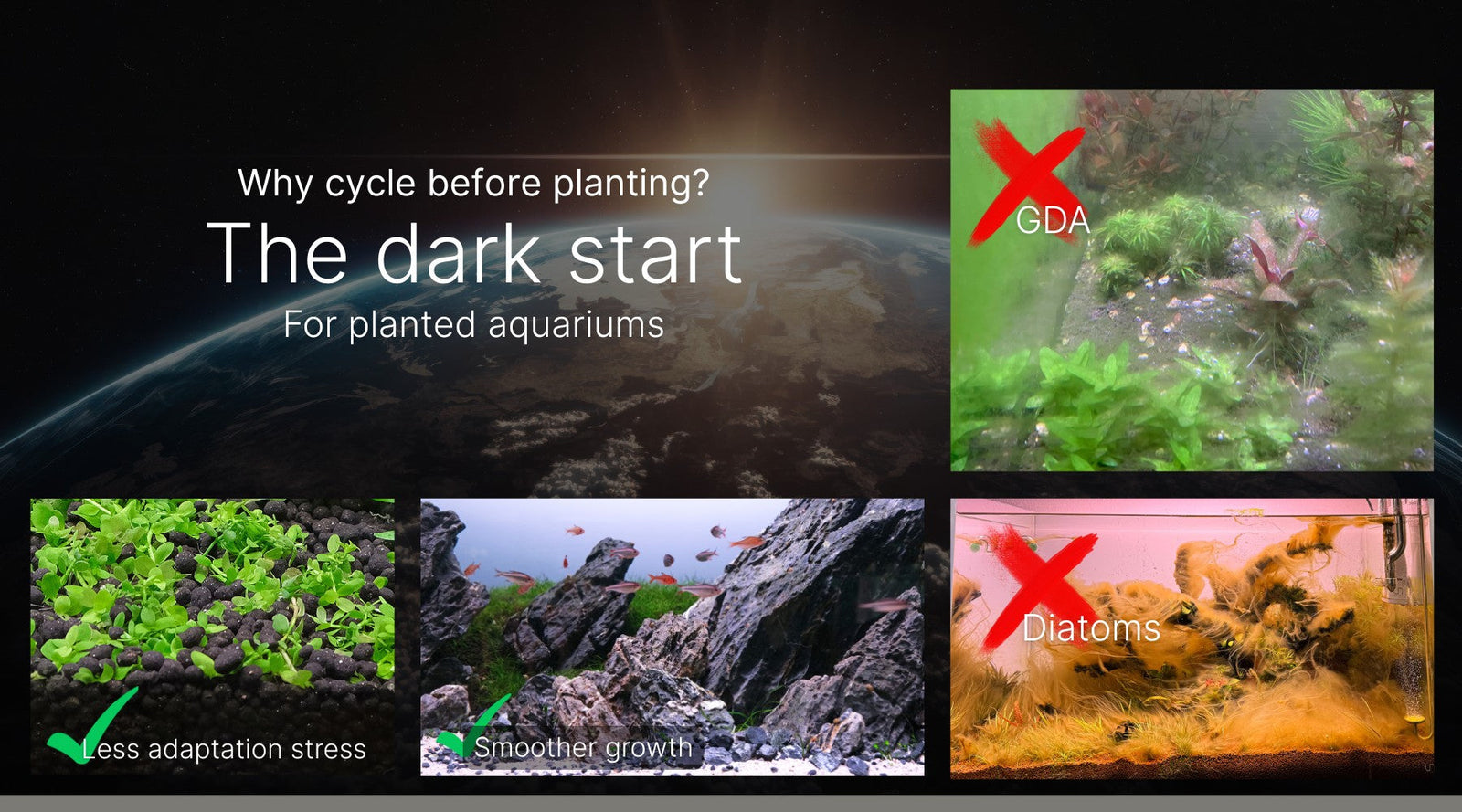 Should I bother cycling a planted tank before planting? Introducing the dark start.