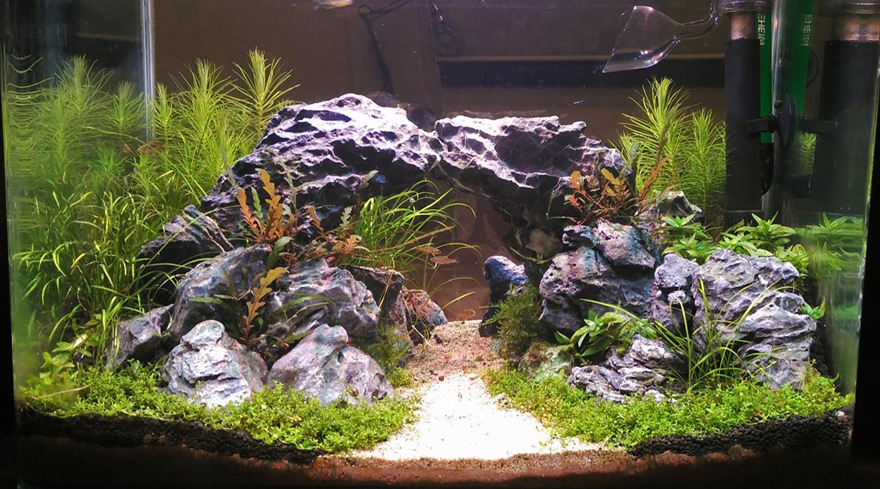 Separating sand from aquasoil areas