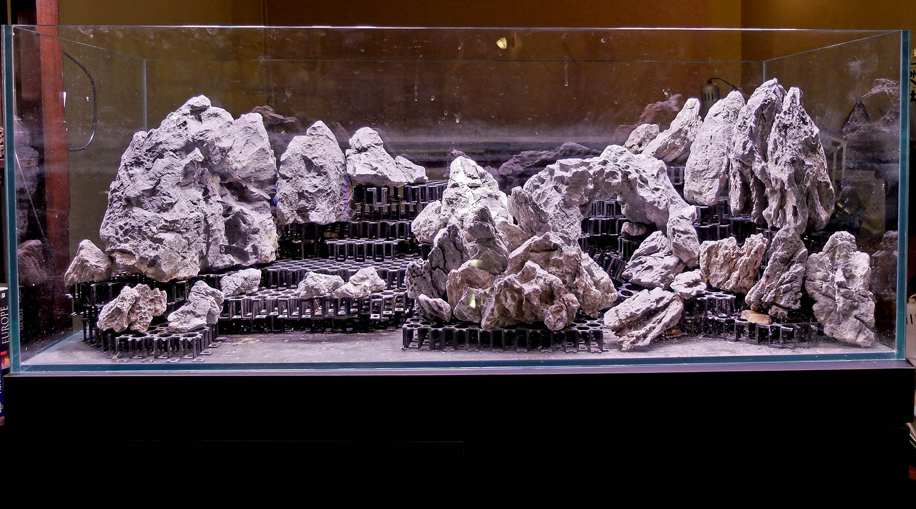 Best tank dimensions for Aquascaping?