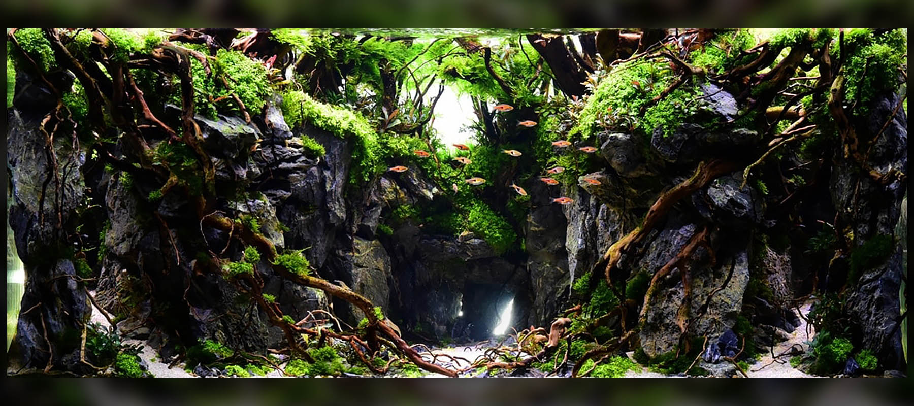 Roger Goh | Diorama
