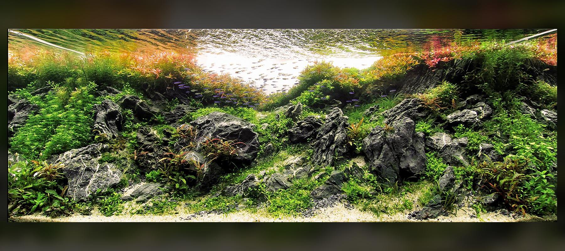 Fernando Ferreira | Diorama