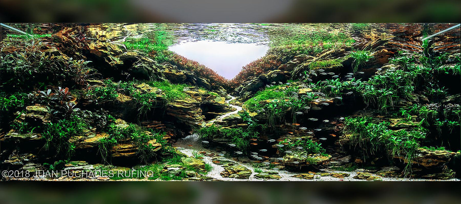 Juan Puchades Rufino | Diorama