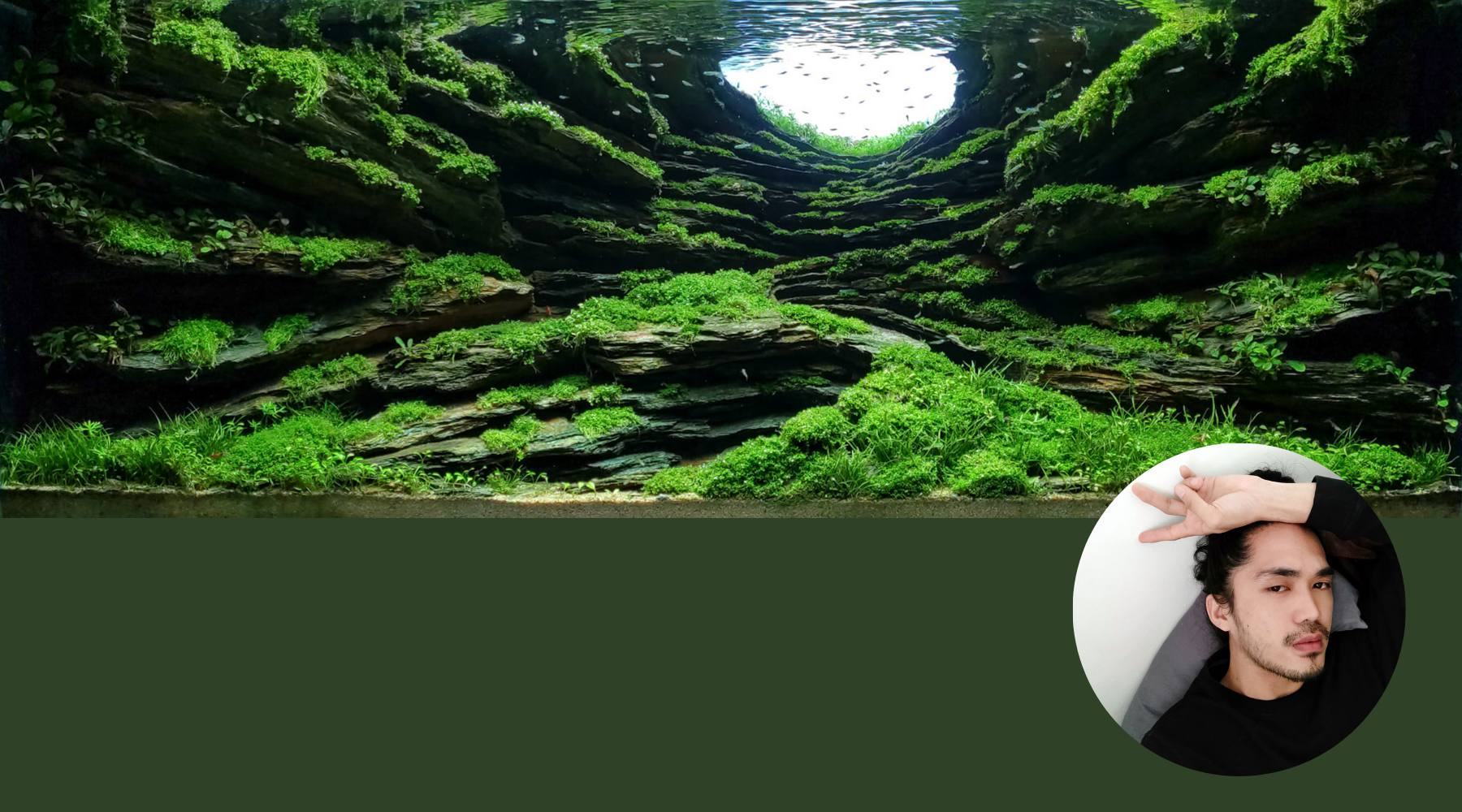 Competitive Aquascaping:  Matthew Manes