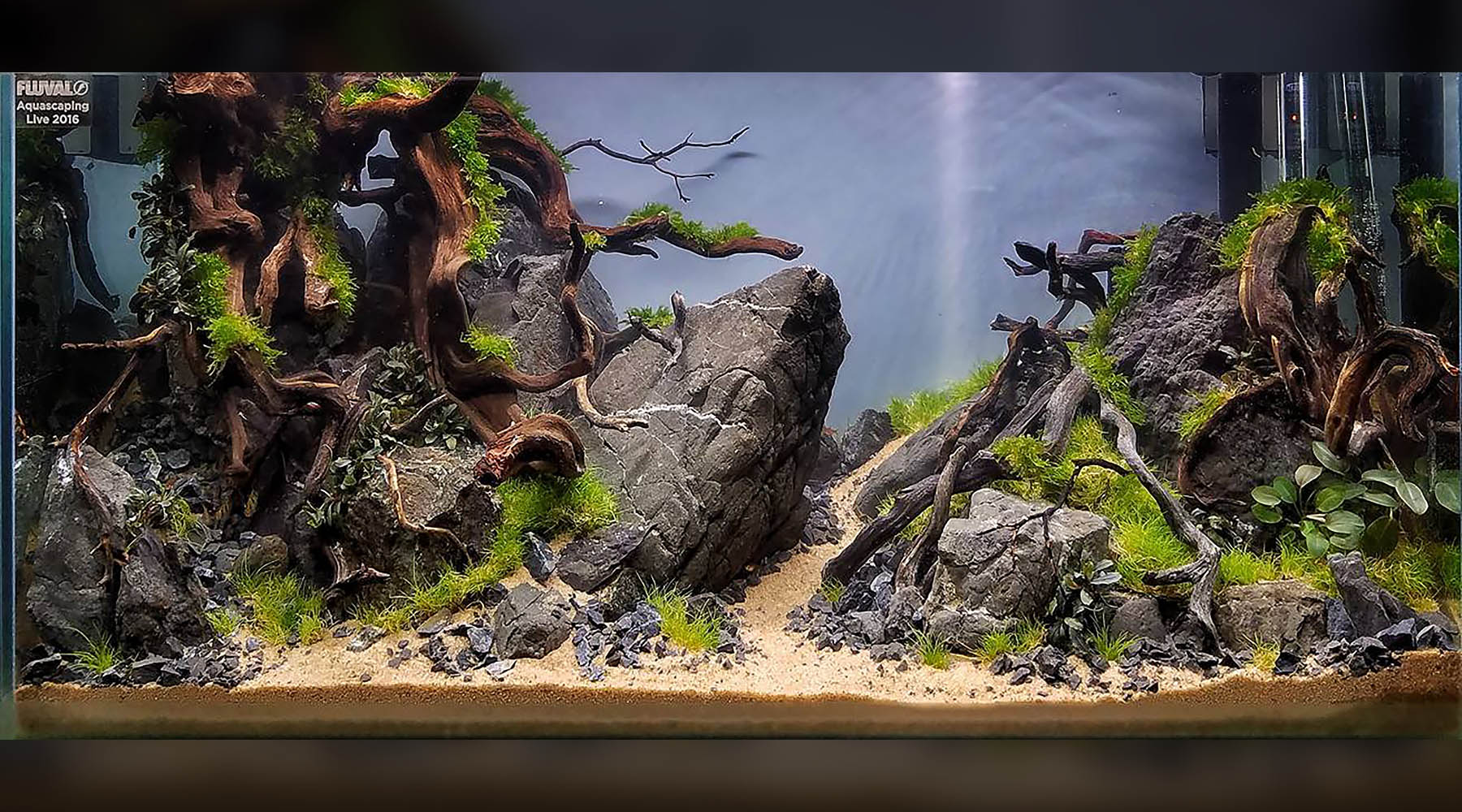 best aquarium plant fertiliser
