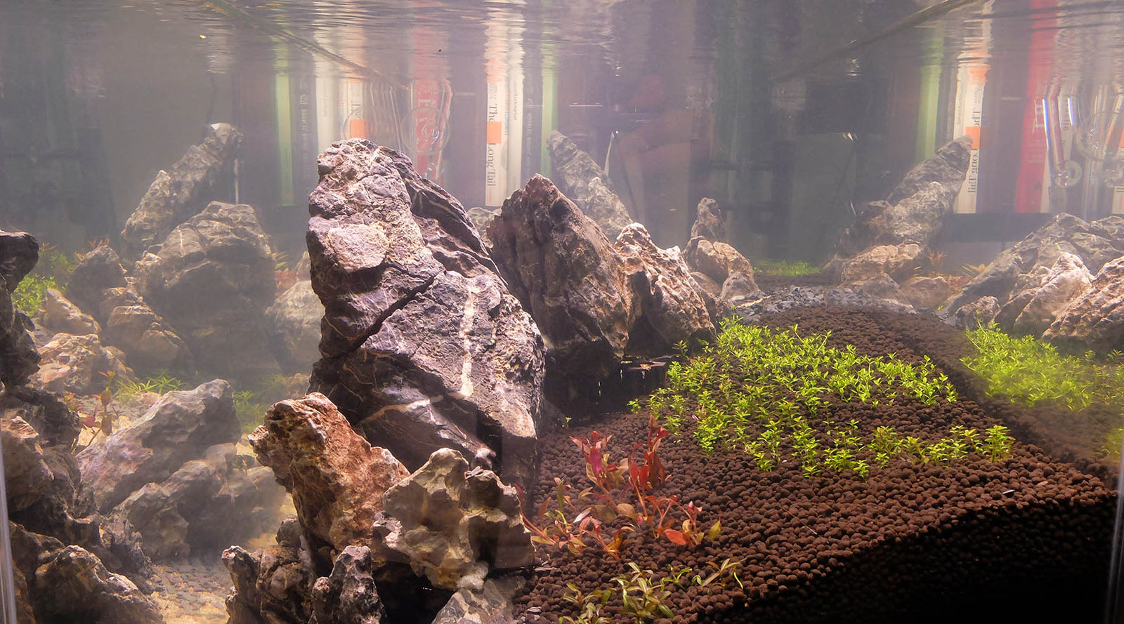 Nutrient uptake through leaves