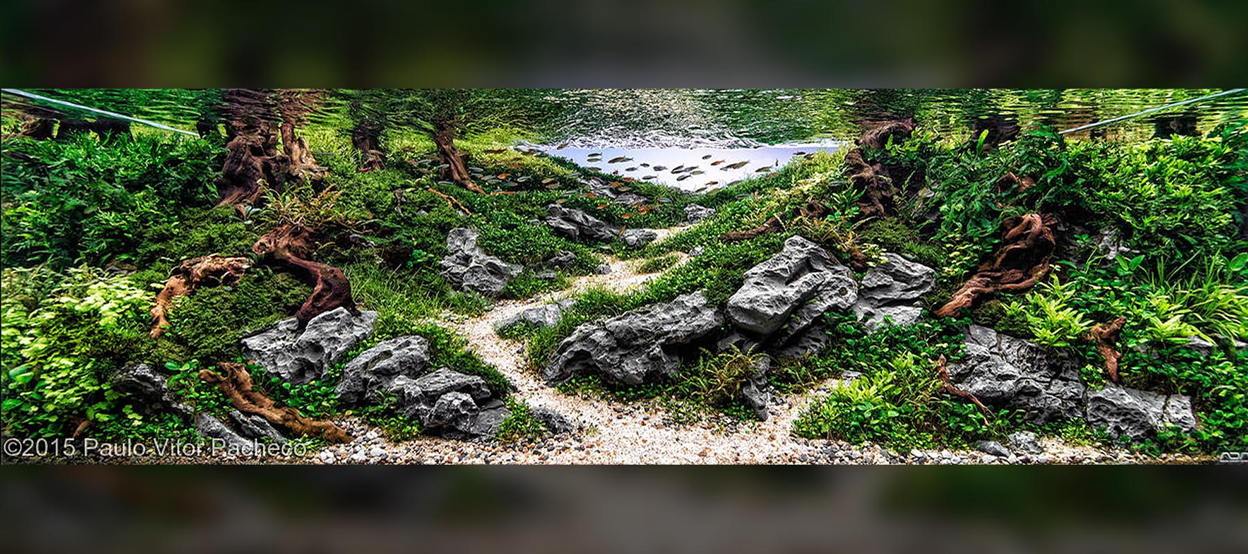 Paul Vitor Pacheco 1 | Diorama