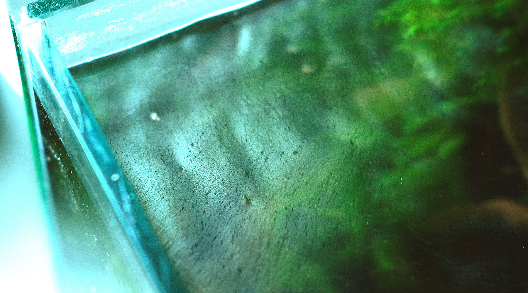 How to get rid of surface scum