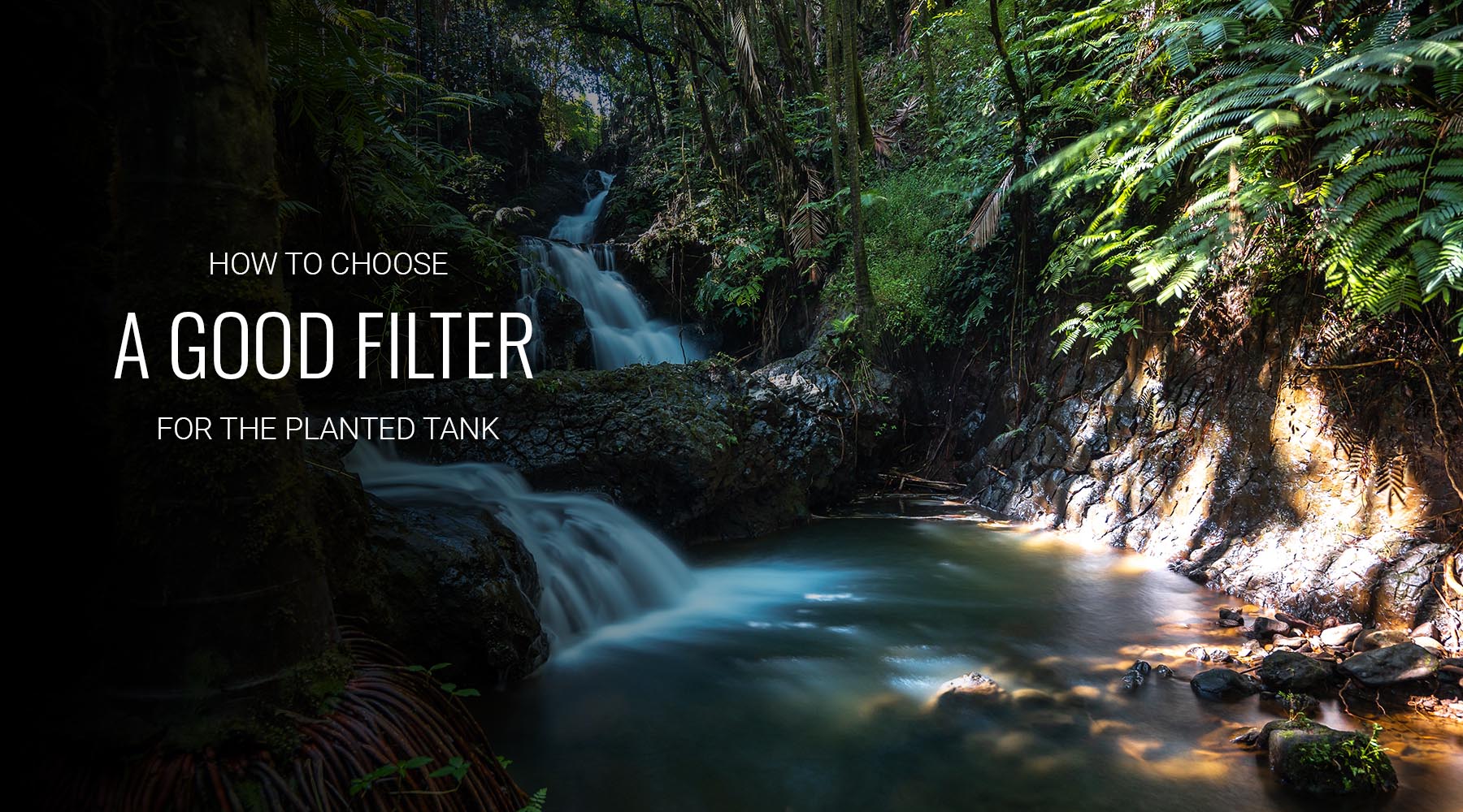 How to choose a good filter for planted aquariums