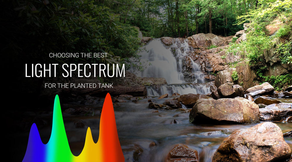 Choosing the best light spectrum for planted tanks The 2Hr Aquarist