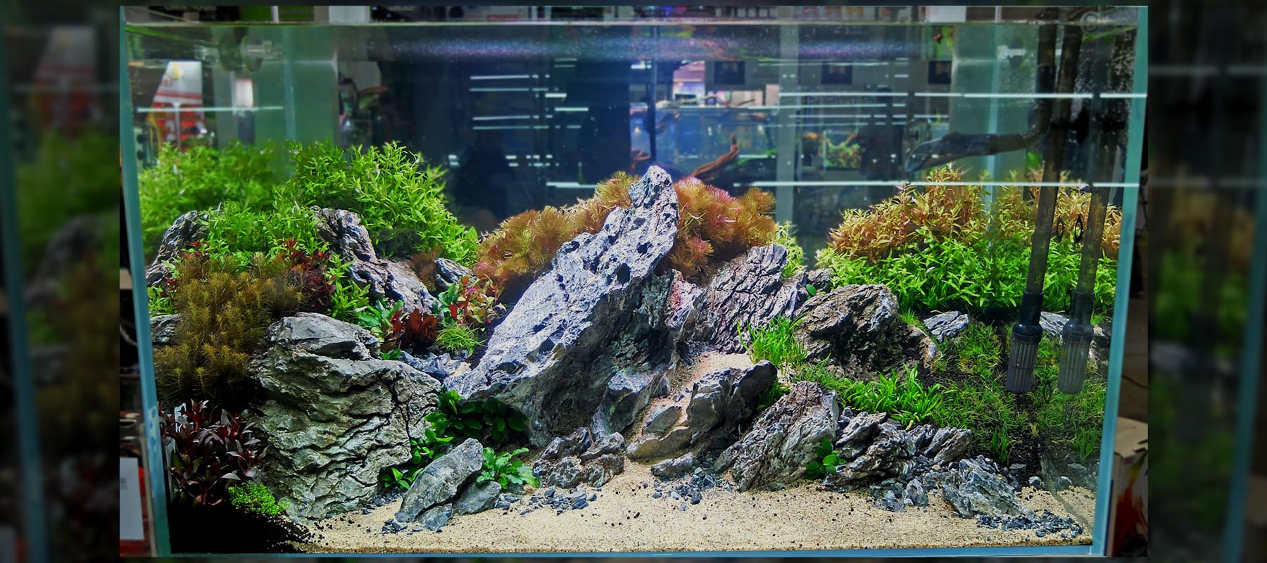 Fernando Ferreira 4 | Diorama