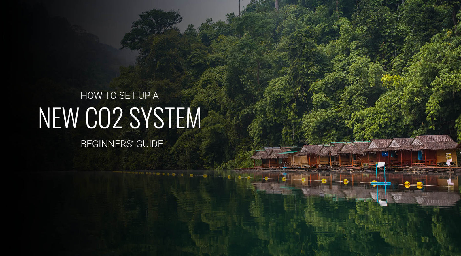 How to set up a CO2 system for the first time