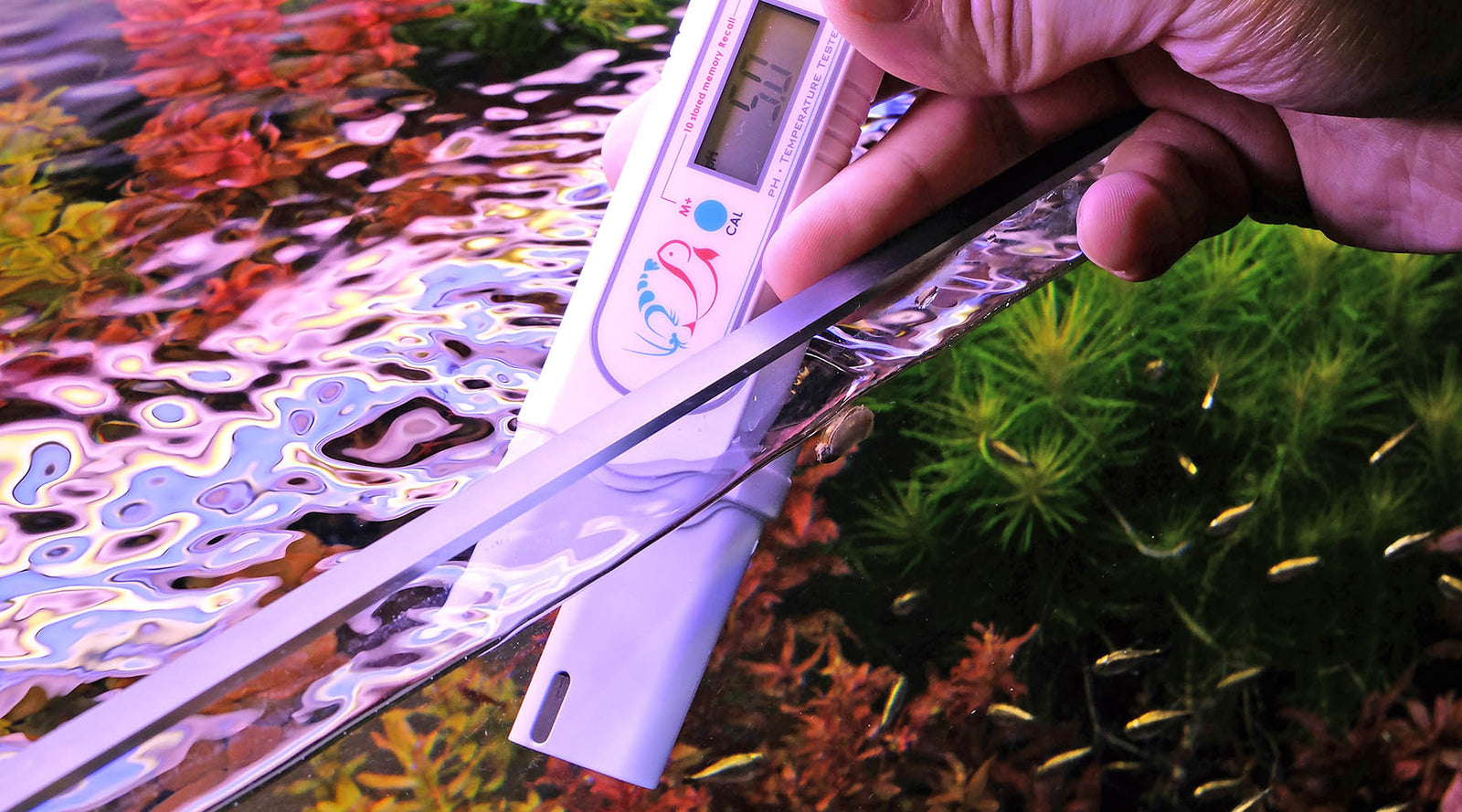 Are bacteria affected due to low pH/KH in aquasoil tanks?