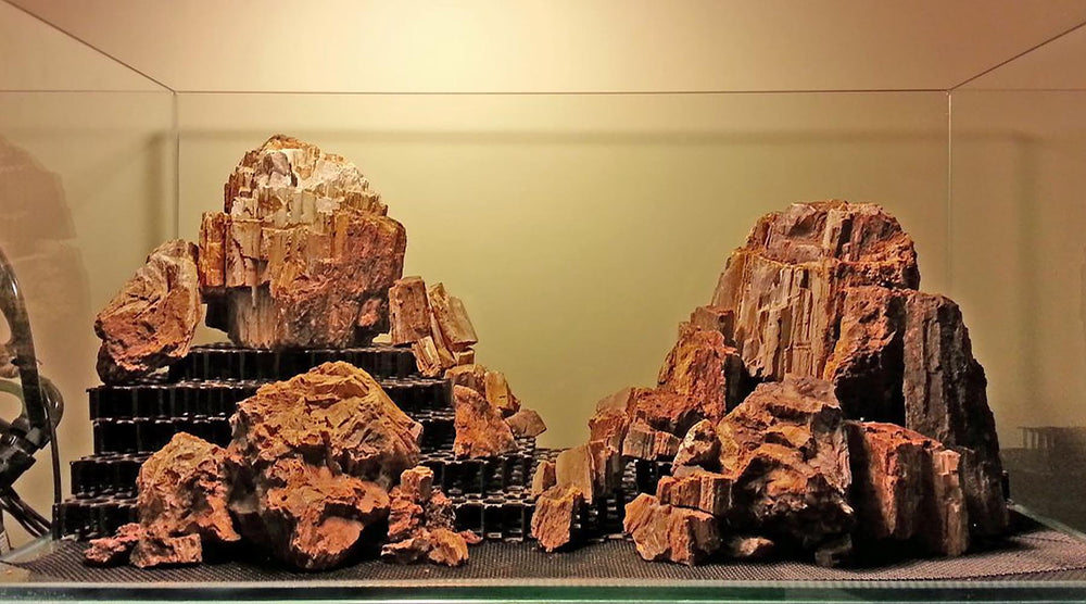How to choose the right substrate for planted aquarium - The 2Hr Aquarist