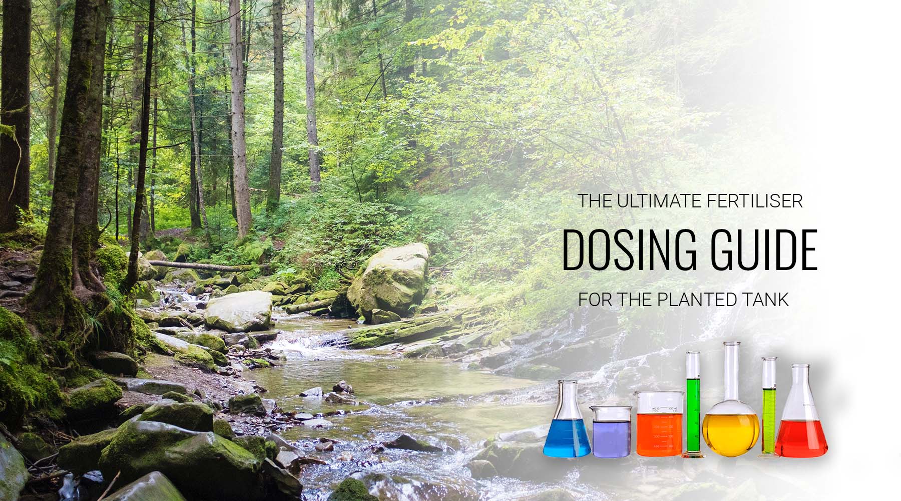 Fertilizer dosing guide for planted aquariums; when to dose more or less ?