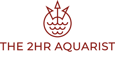 The 2Hr Aquarist