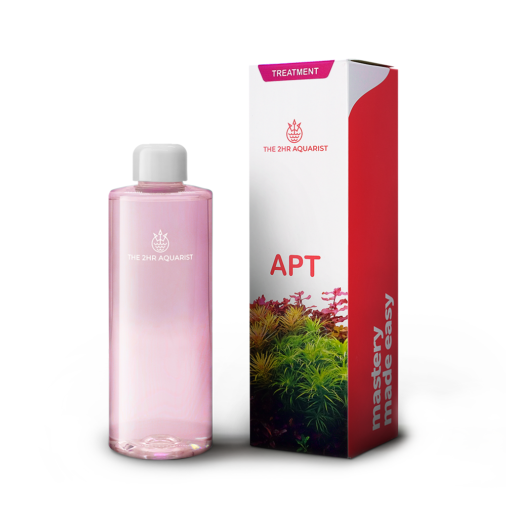 モ*ル様 AQUAMESH LIQUID PASTER #2 PINK モ*ル様 AQUAMESH LIQUID PASTER #2 PINK Buy Fwee Dual Blusher