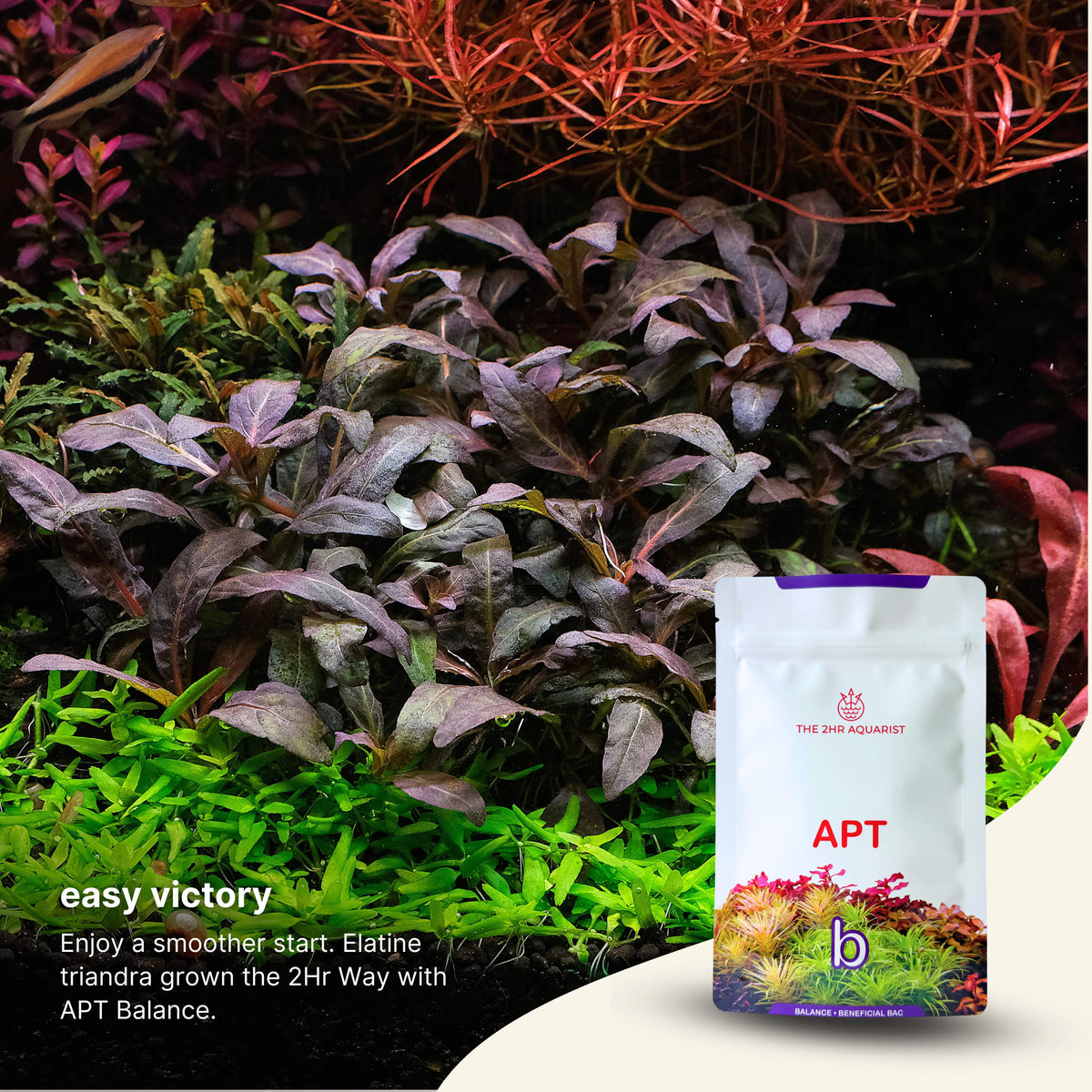 2Hr Aquarist APT Balance