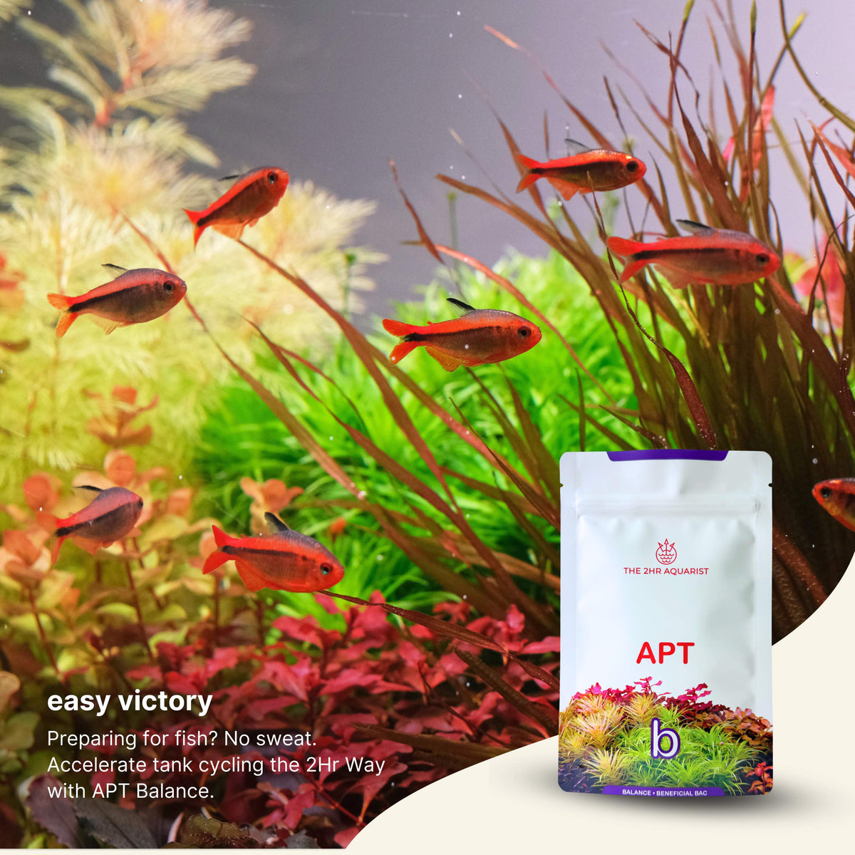 2Hr Aquarist APT Balance