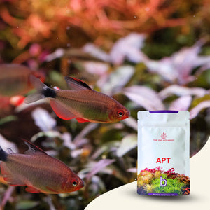 2Hr Aquarist APT Balance