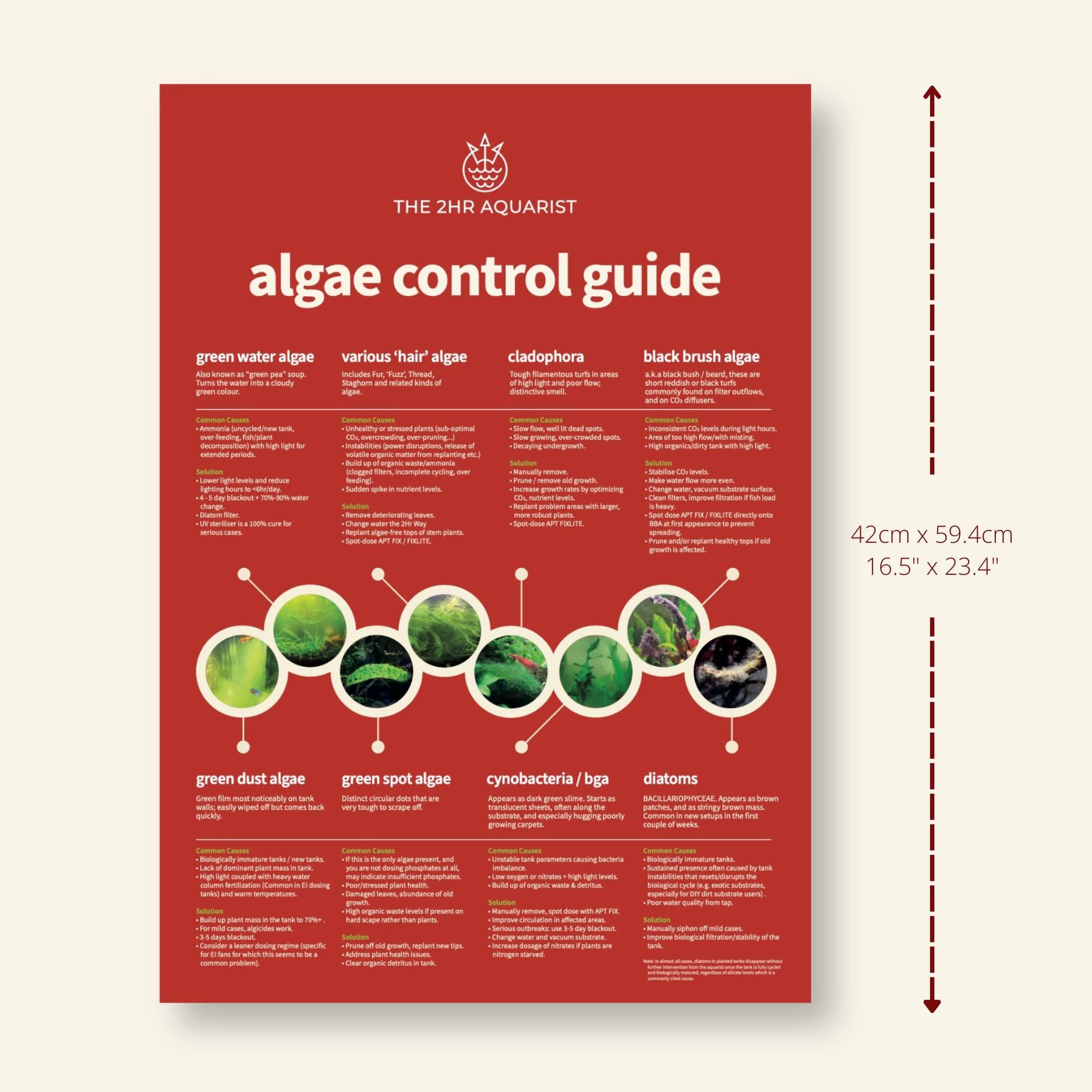 Algae Control Poster
