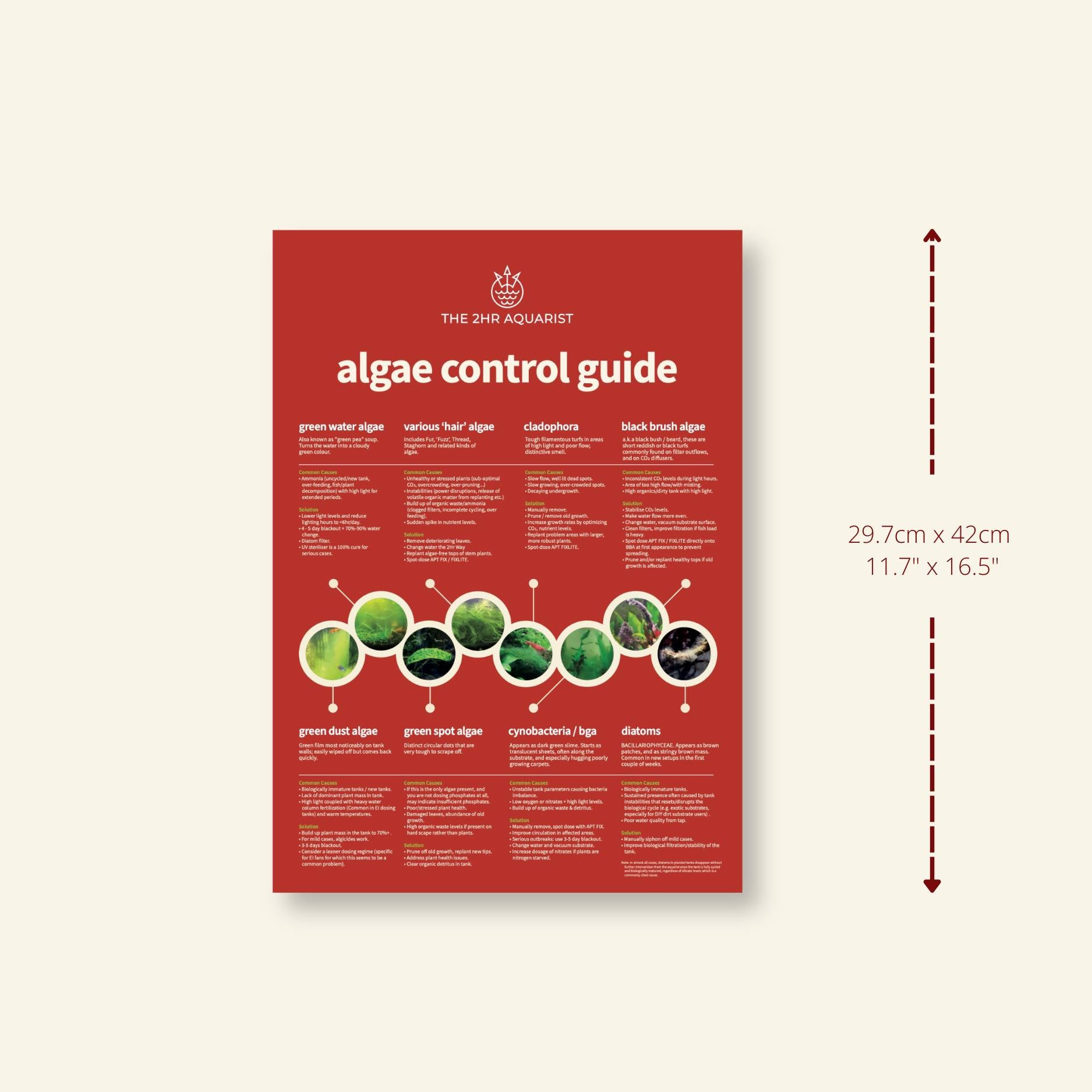 Algae Control Poster