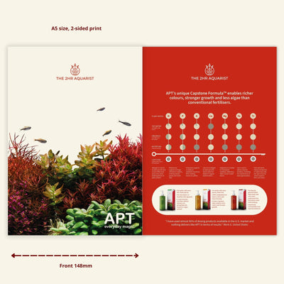 Impact Flyers