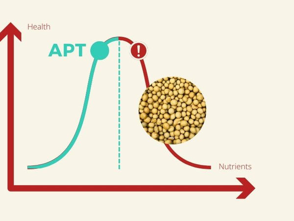 Engrais Racinaire Pour Plantes D'aquarium APT Jazz - 54 Comprimés, Croissance Optimale Des Plantes Aquatiques - 10